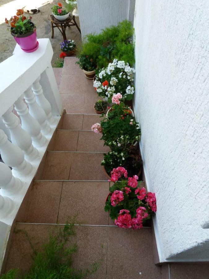 Apartman Sunce Raslina Екстериор снимка