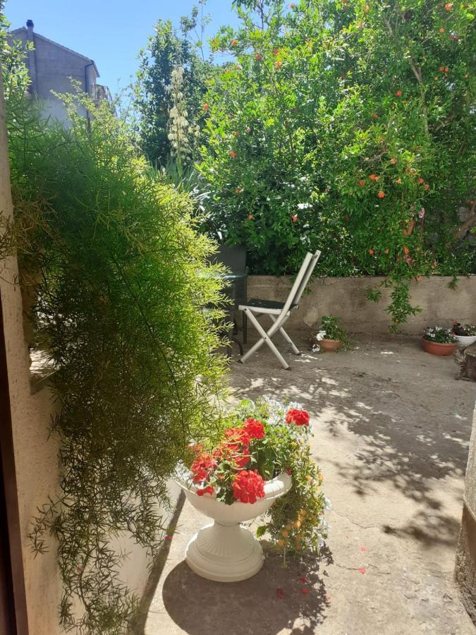 Apartman Sunce Raslina Екстериор снимка