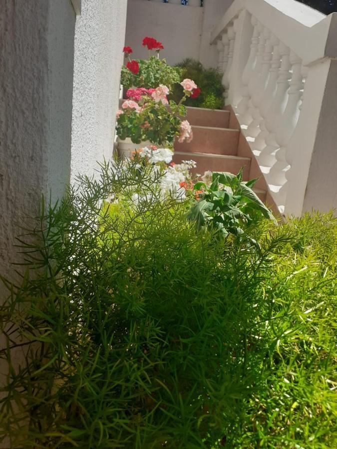 Apartman Sunce Raslina Екстериор снимка
