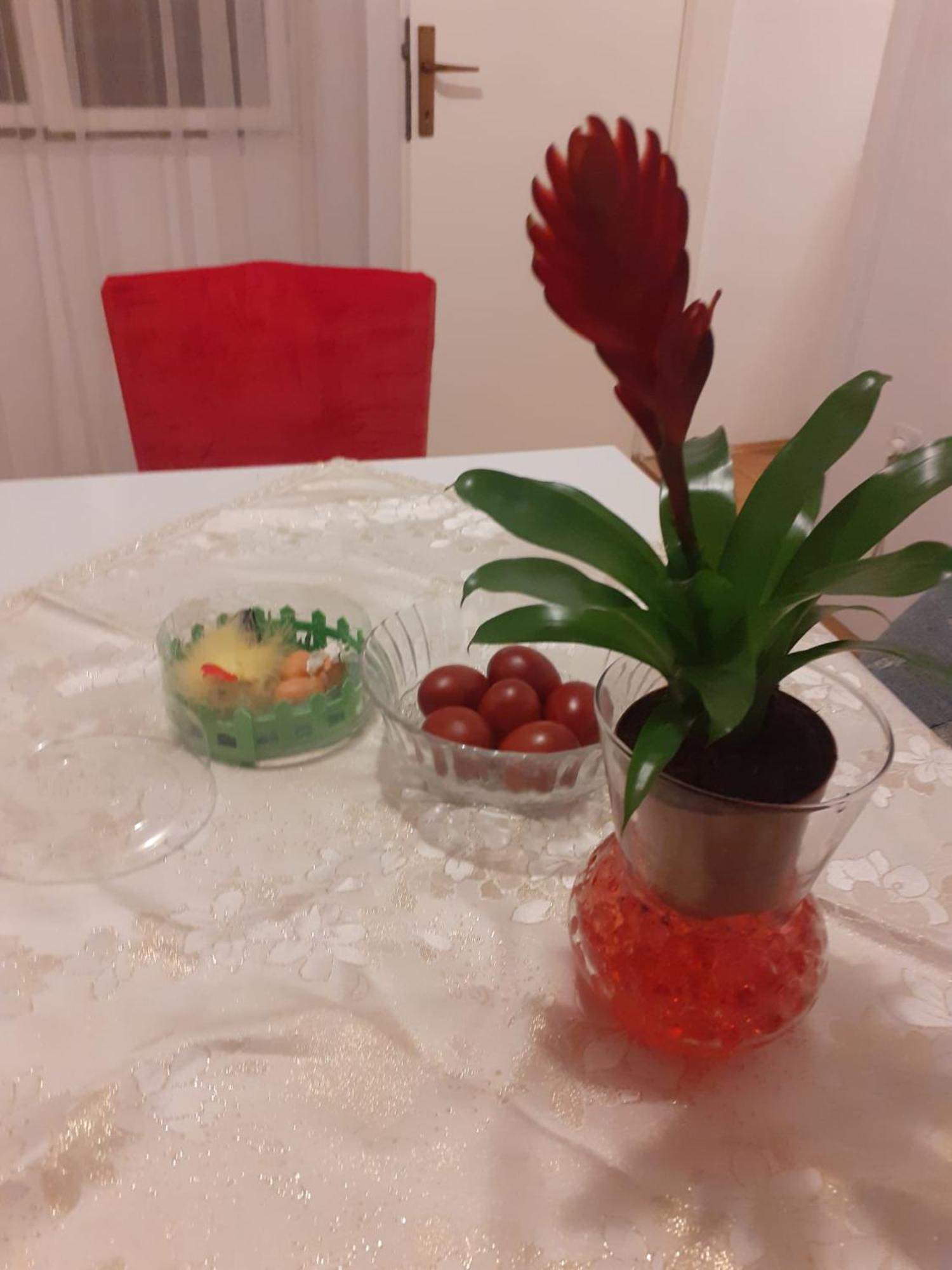 Apartman Sunce Raslina Екстериор снимка