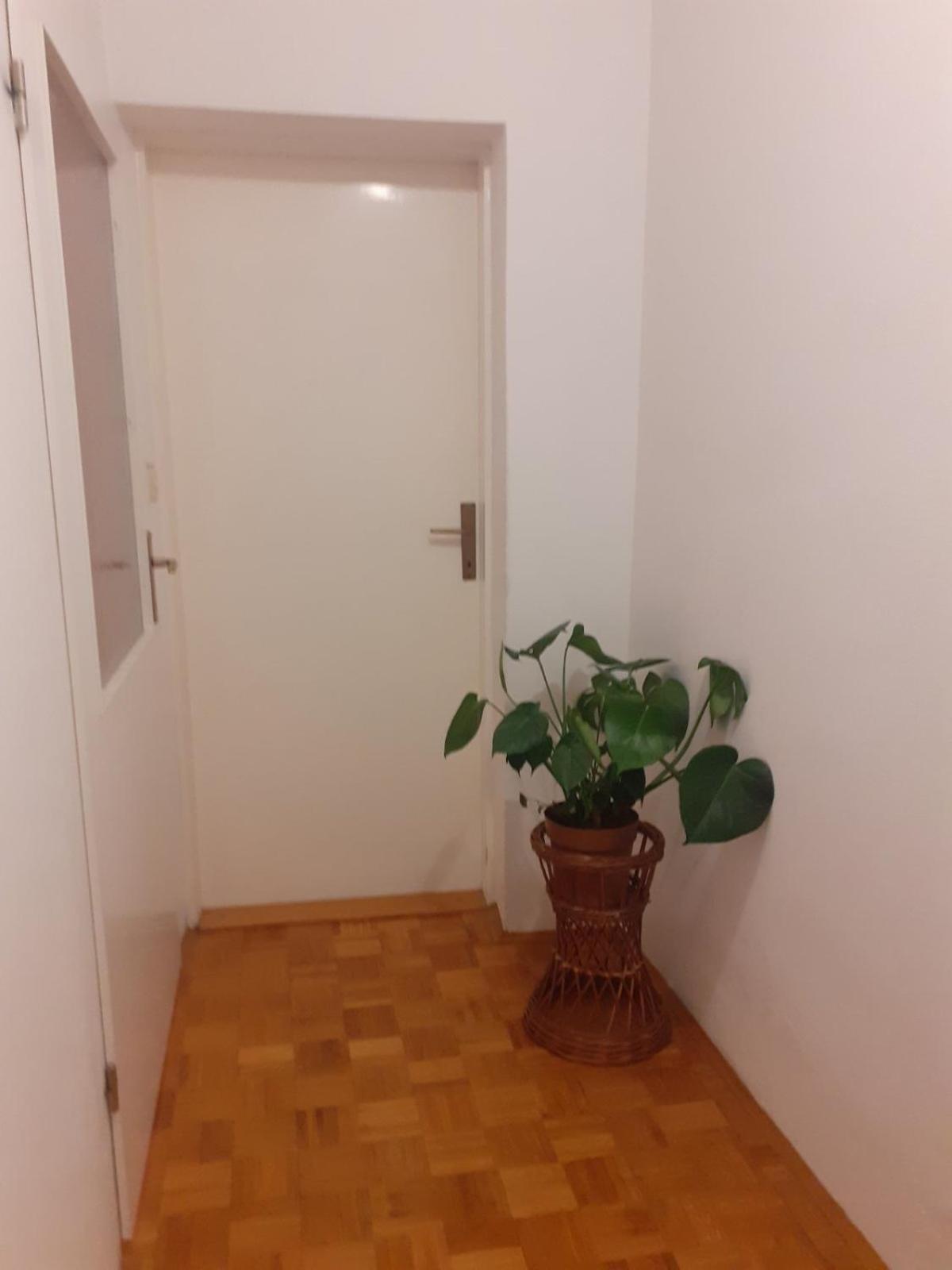 Apartman Sunce Raslina Екстериор снимка