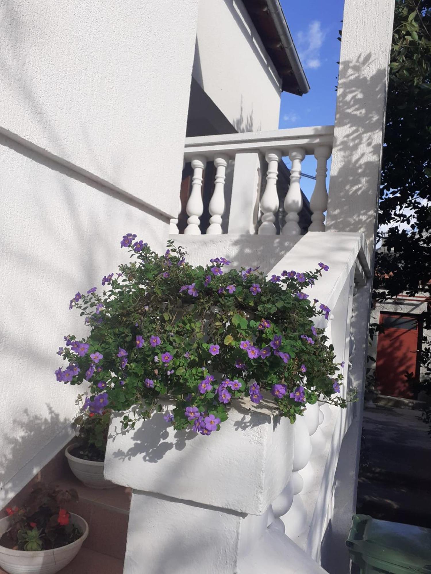 Apartman Sunce Raslina Екстериор снимка