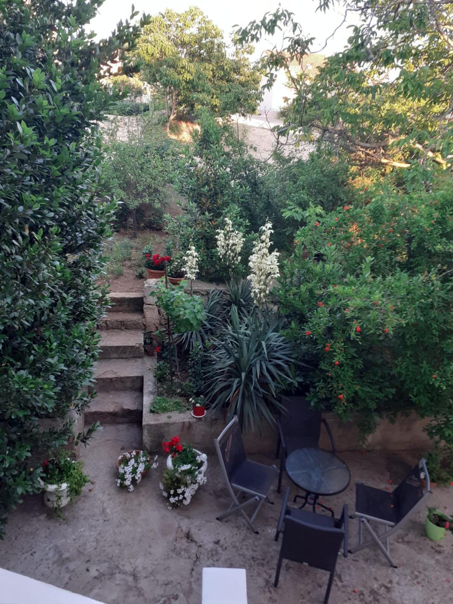 Apartman Sunce Raslina Екстериор снимка